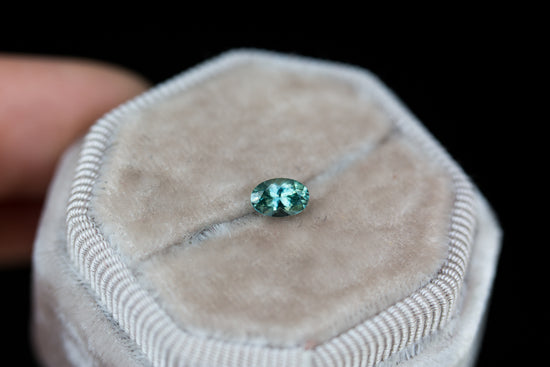 Oval Montana sapphire five stone ring