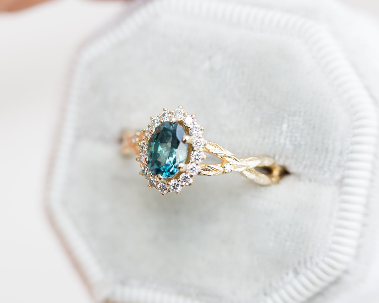Oval Montana sapphire halo twisted leaf ring